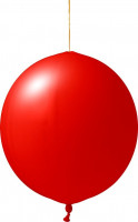 Rood (PMS 199)
